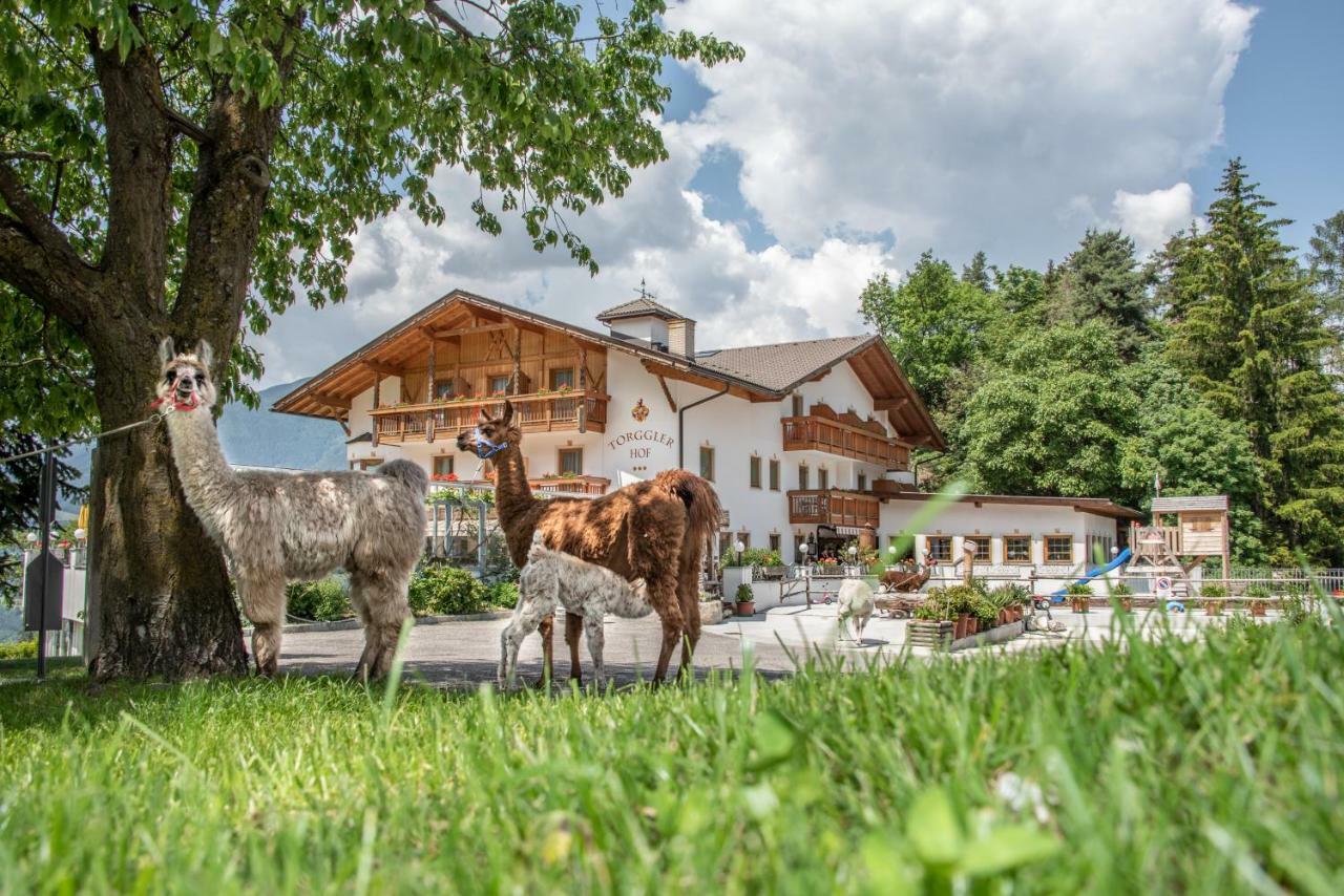 Hotel Torgglerhof Брессаноне Экстерьер фото